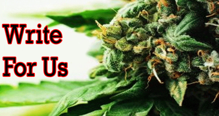 About general informatiol Write For Us Cannabis