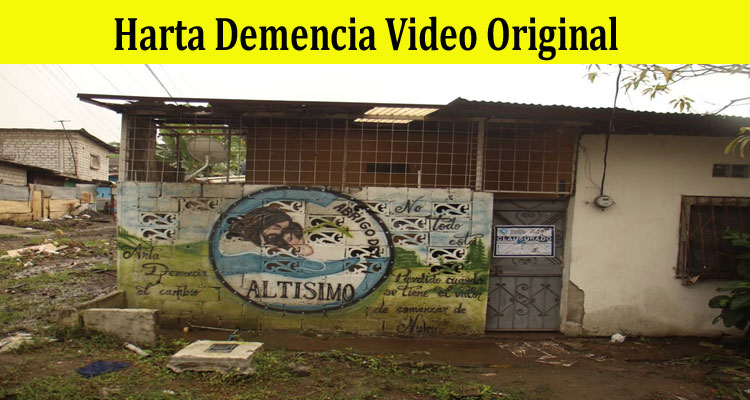 Latest News Harta Demencia Video Original