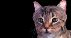 Latest News Cat In Blender Twitter Original Video